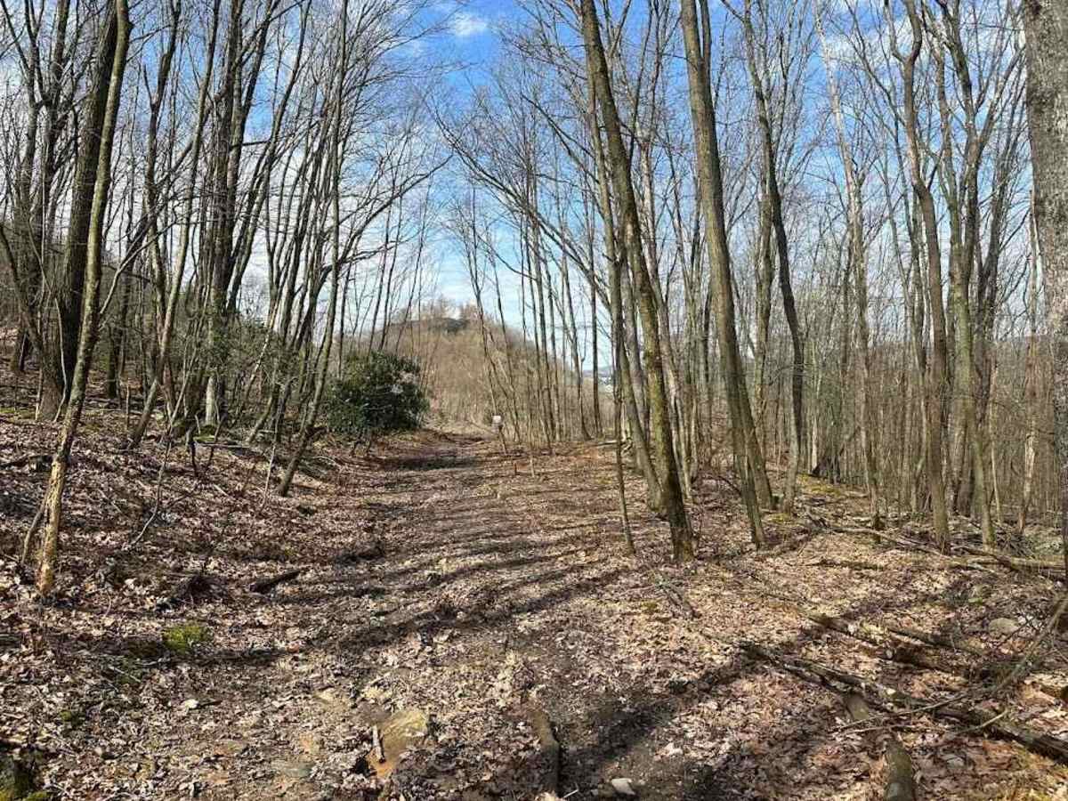 Ashland 134 trail photo