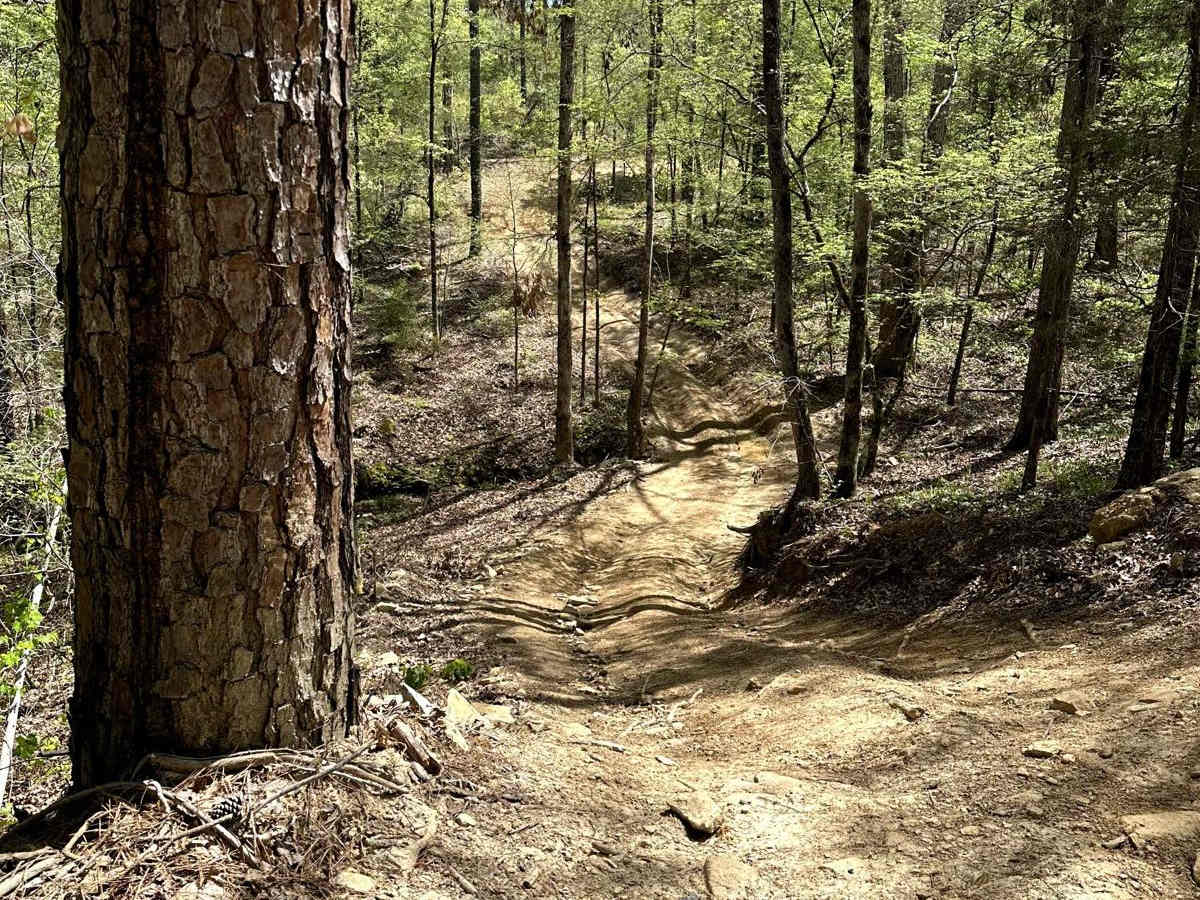 Trail 41 photo 5