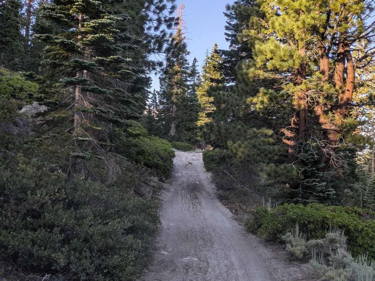 Dry Creek Knoll photo 6