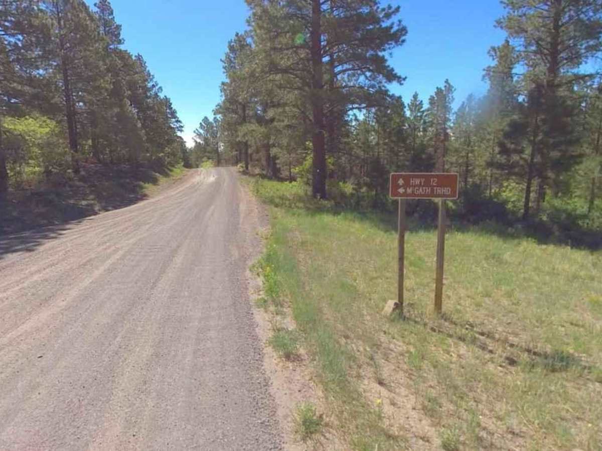 Roundup Cuddy Back-NFS30566 trail photo