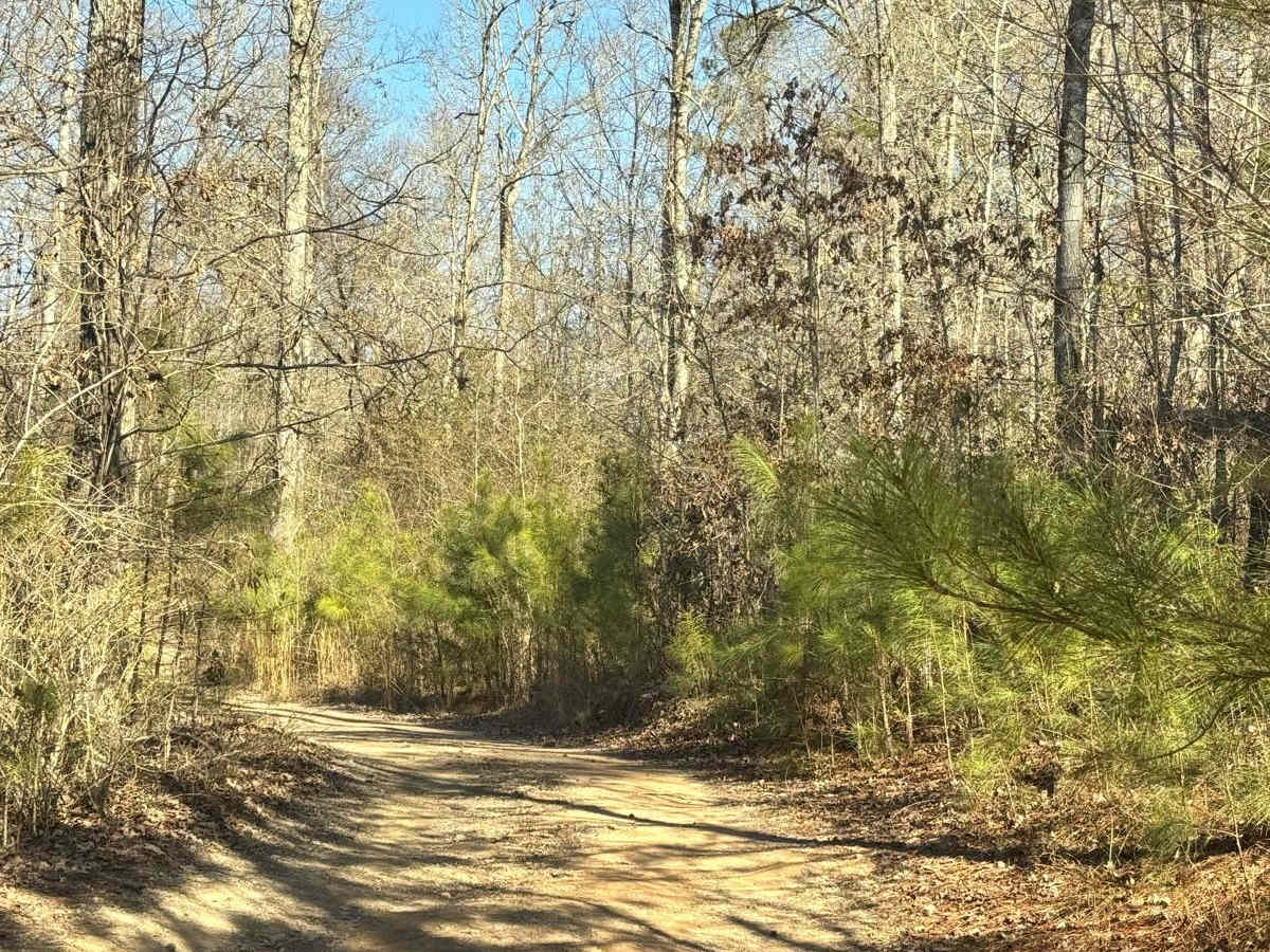 Creek Trail Bypass photo 2