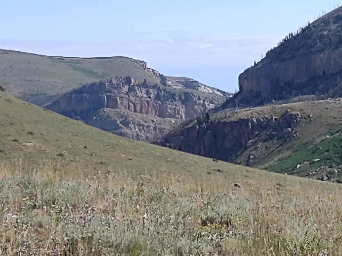 Indian 4WD Trail - FS 352 trail photo