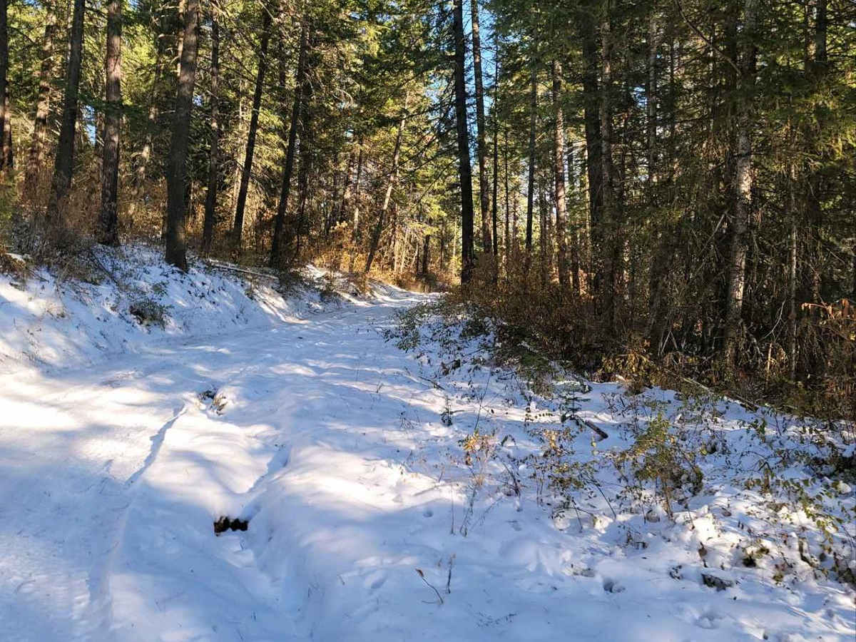 Sherlock Peak Byway photo 5