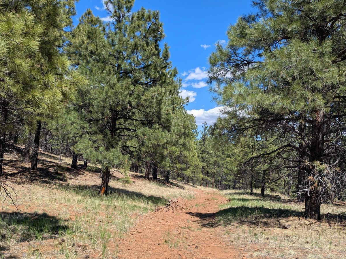 FS 9014K trail photo