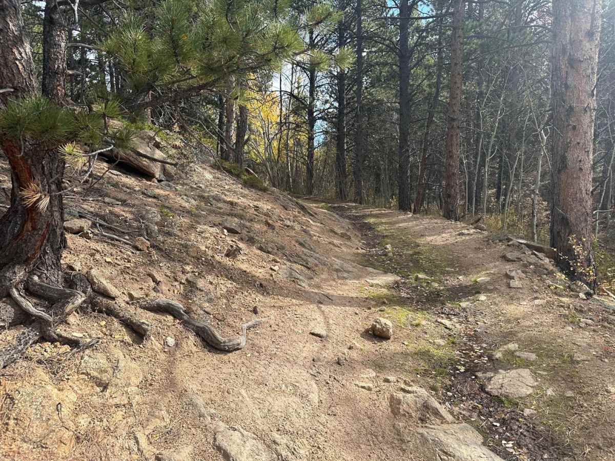 Spring Gulch - 102J photo 5