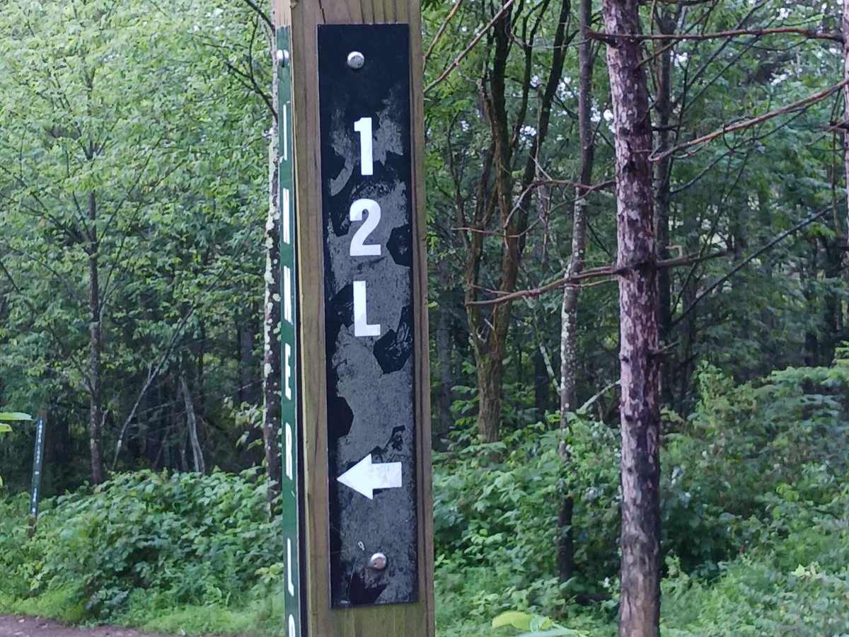 Trail 12L - Rock Run Recreation Area trail photo