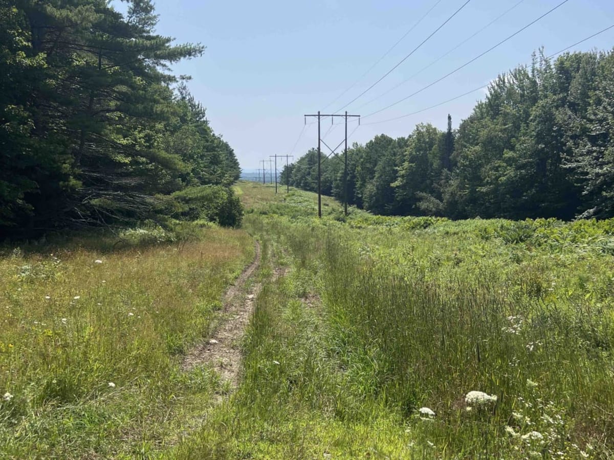 Overlook Trail photo 6