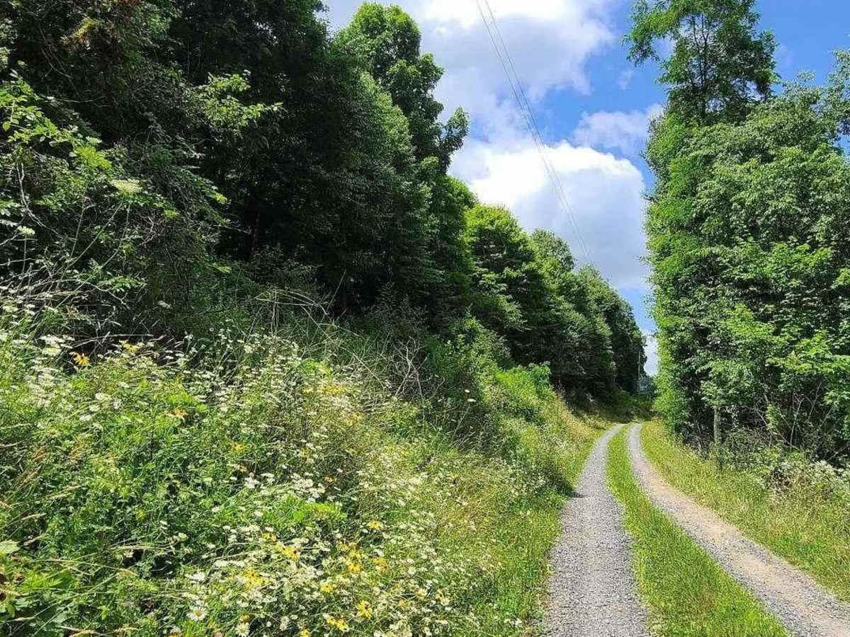 44/1 Bellwood Corporation Mine (Ford Knob Road) photo 5