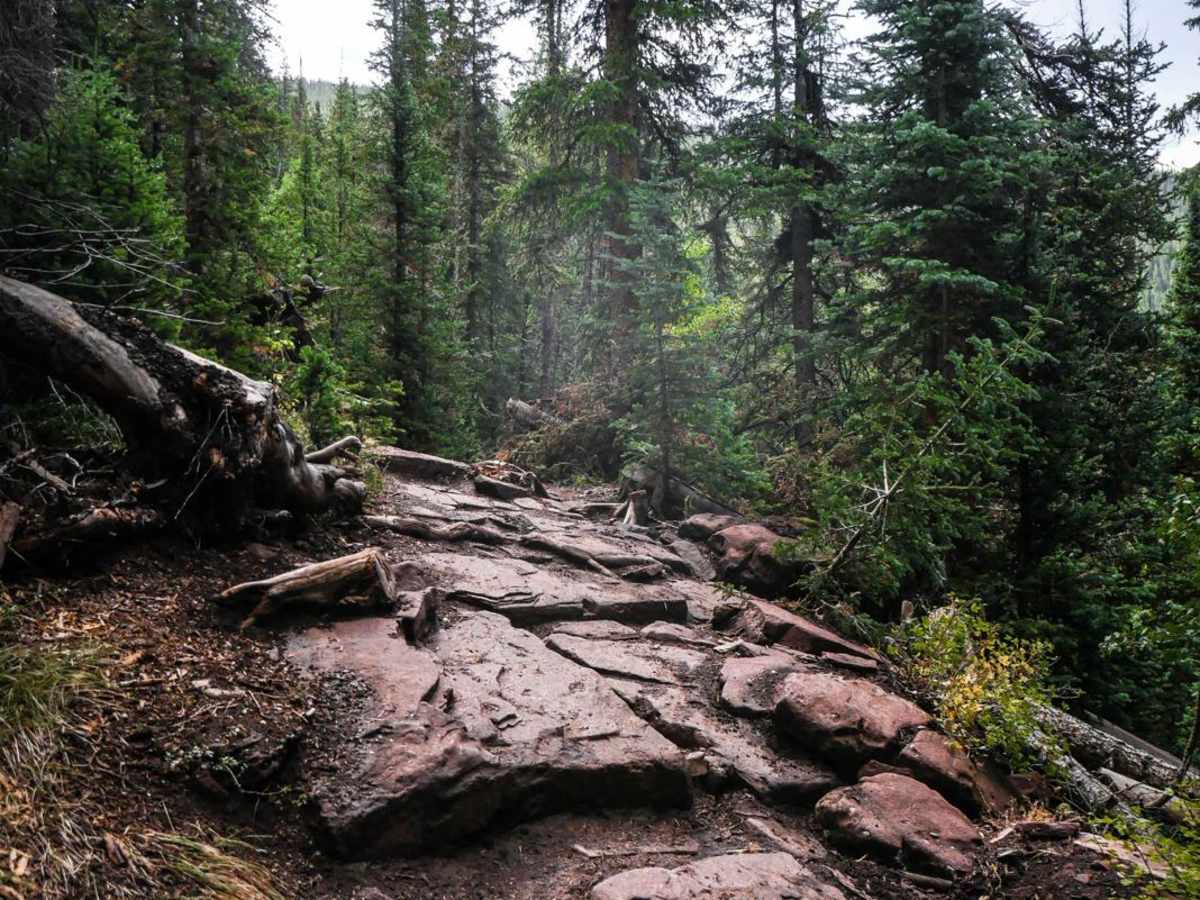 Block and Tackle trail photo