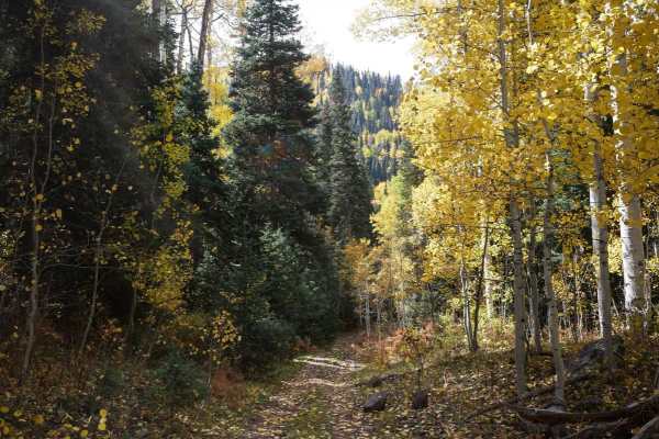 Stealey Mountain Spur ATV