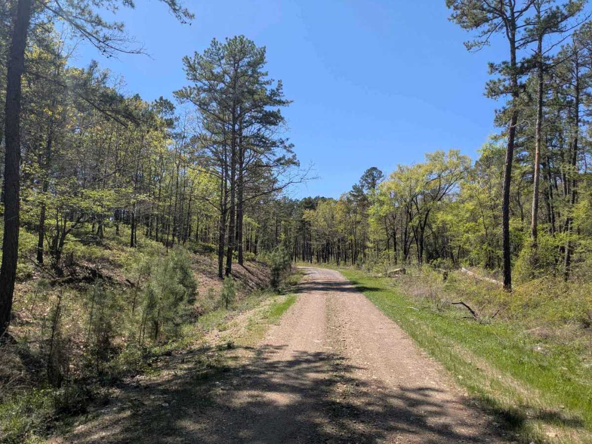 53500 Creek Trail photo 5