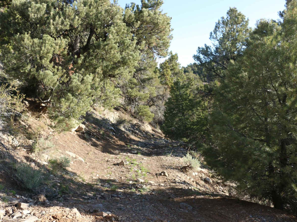 Dagmar Mine photo 4