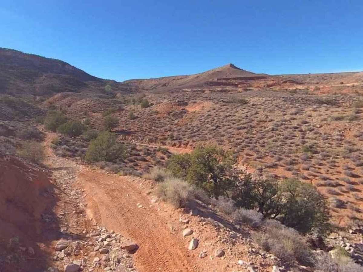 BLM13870 photo 3