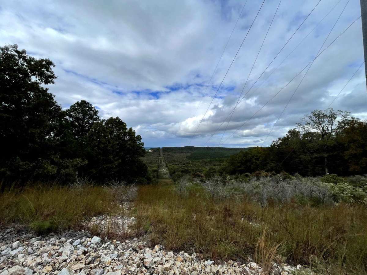 H42 Parker Lane photo 4