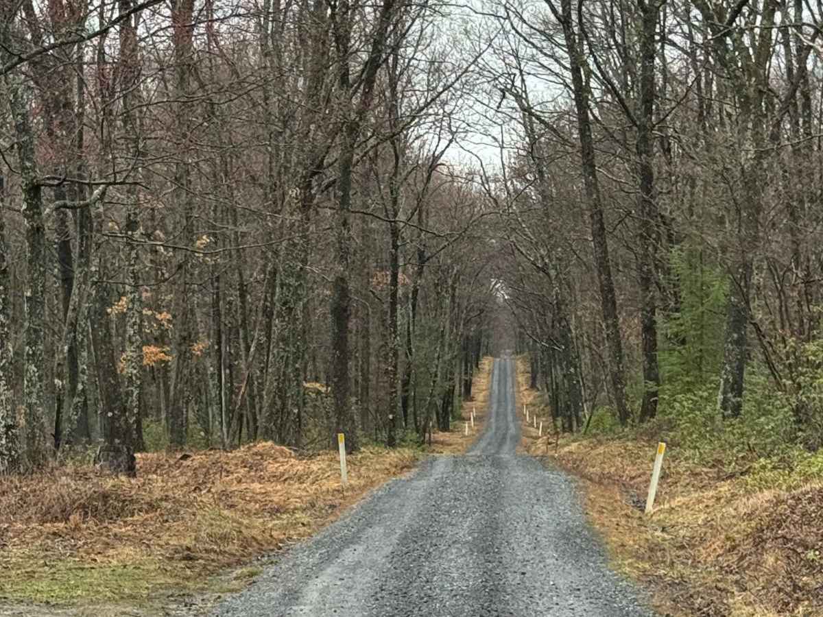 Yost Ridge Road photo 5