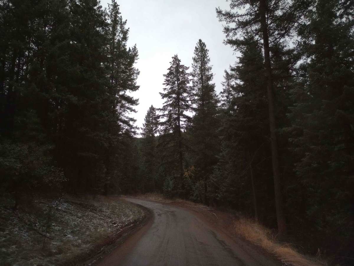 NF-2550 (HooDoo) photo 3