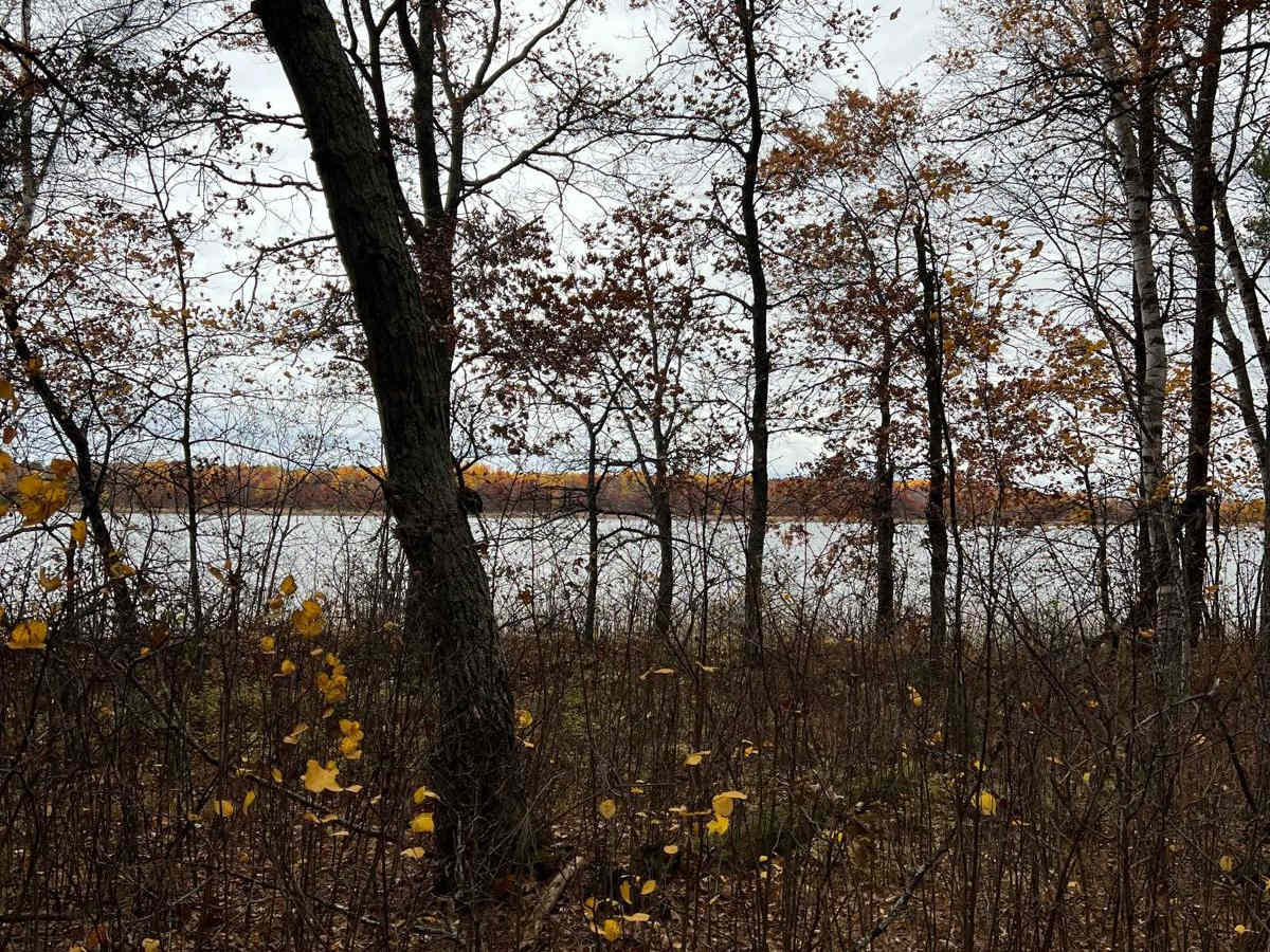 Finn Lake Loop photo 4