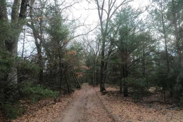 Dalson Road between Brunswick and Raymond Roads
