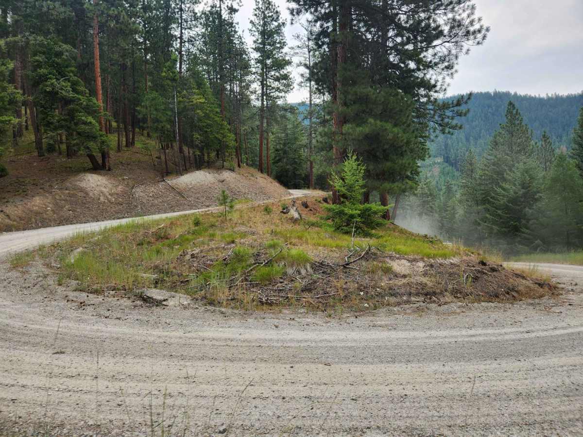 Eddy Peak Road photo 4