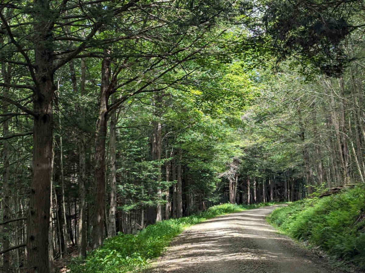 Cold Run Road photo 5