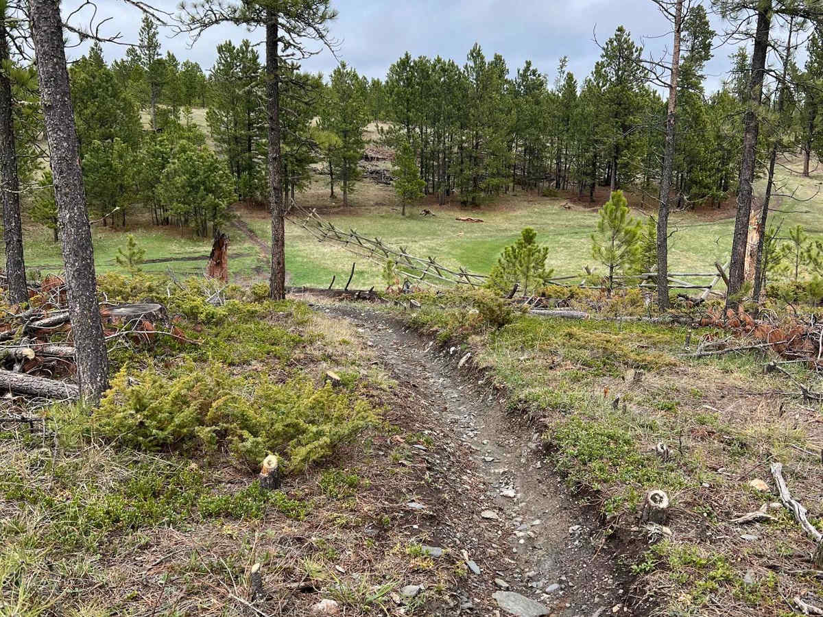 Boxelder Ridge Wooded Hills Cut Through photo 2