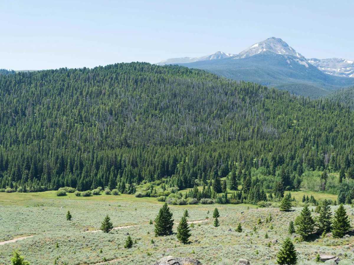 Sureshot Lakes photo 3