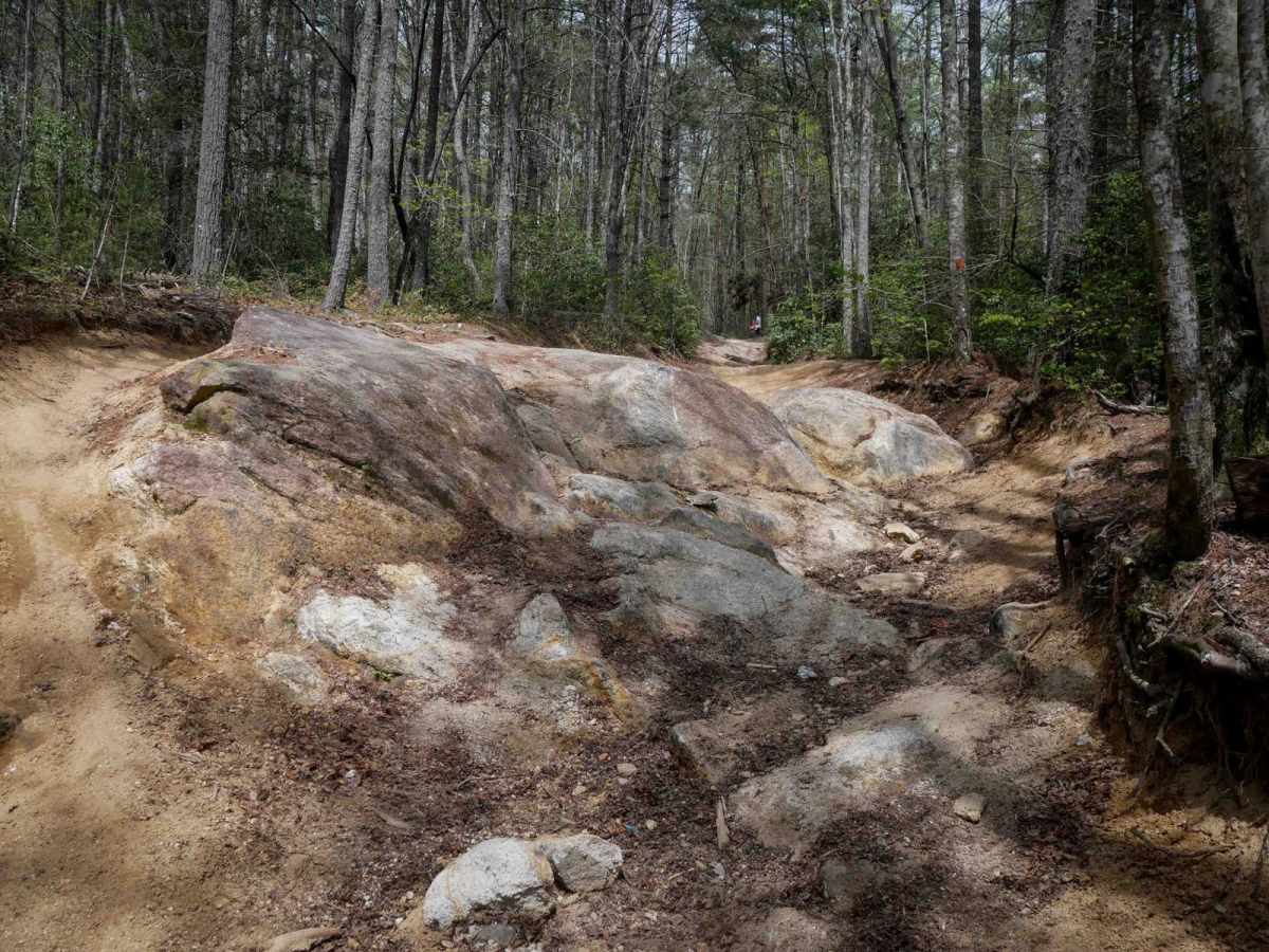 Trail 4 Kirby's Loop photo 2