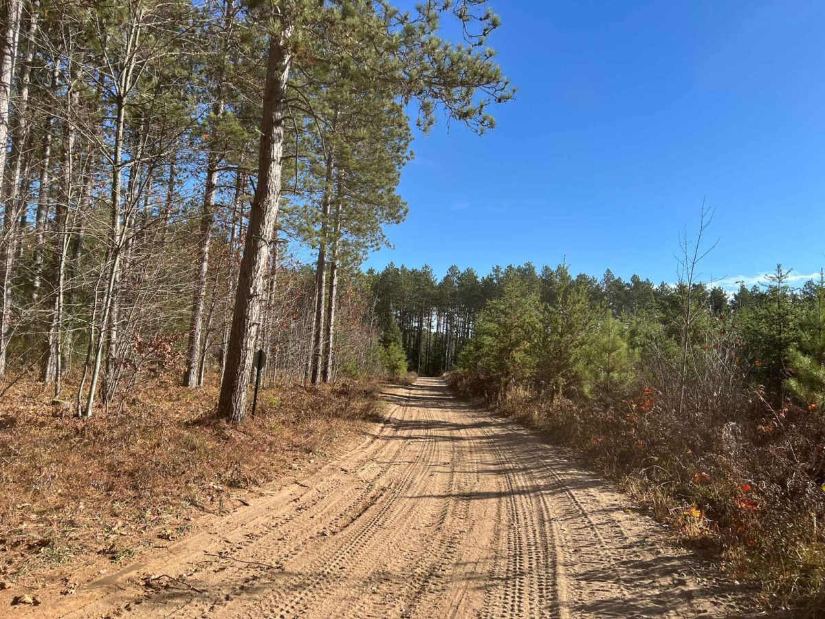 Pembine 16 East Trail Head FR 1006 photo 5