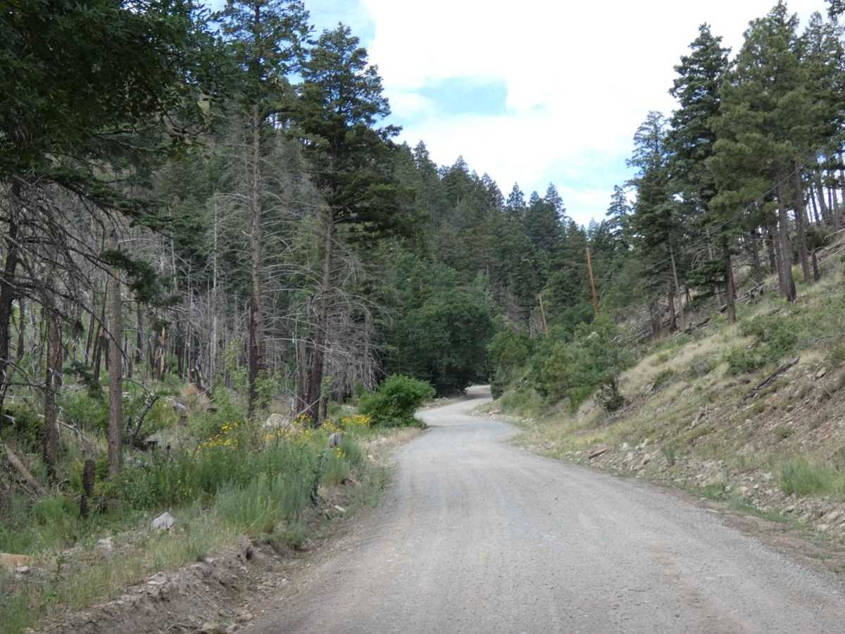 Monjeau Peak Lookout photo 6