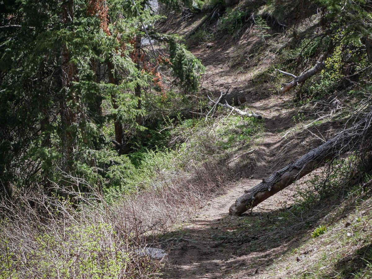 Sixth Water Divide #014 photo 4