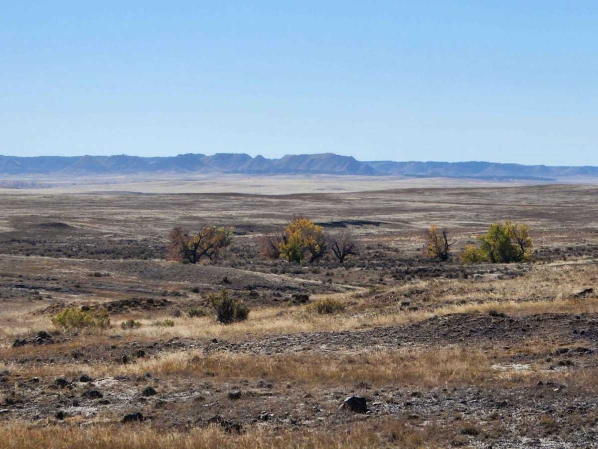 Prairie Dog Chase photo 2