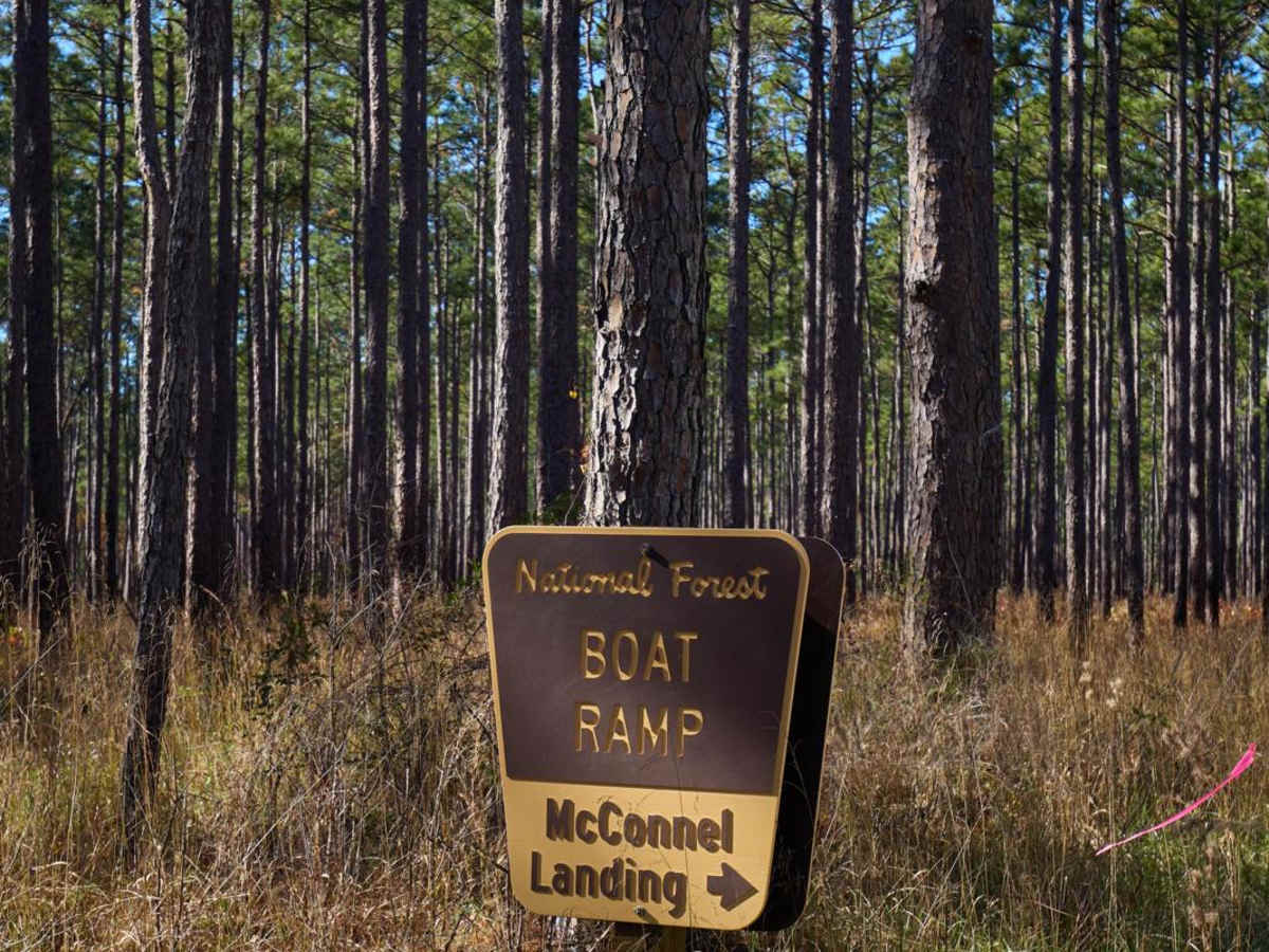 McConnell Landing - FSR 204F photo 4
