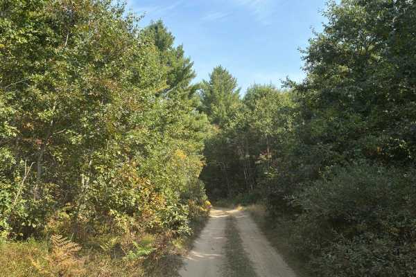 Jack's Trail