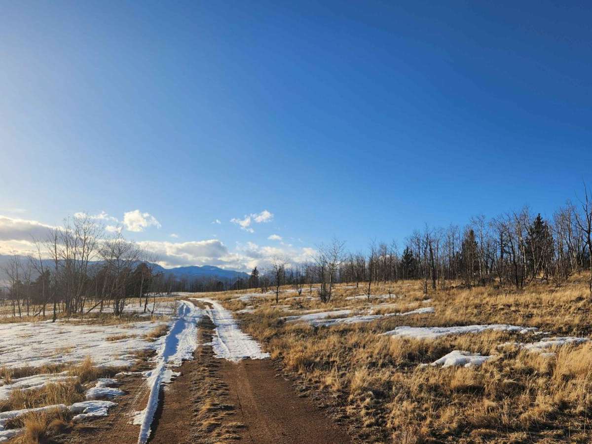 Clark Spring Road photo 5