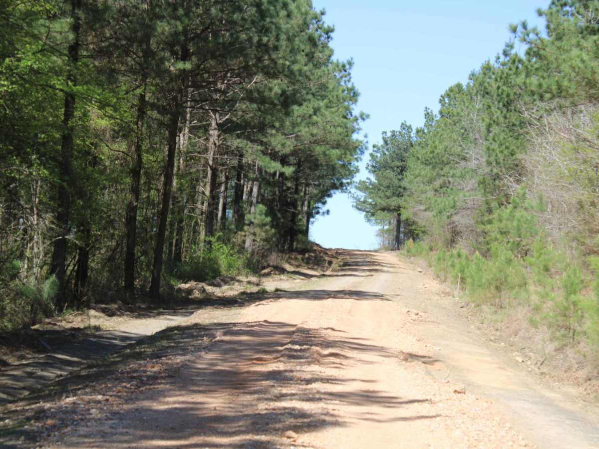 Howard County WMA 485RD Circle photo 3