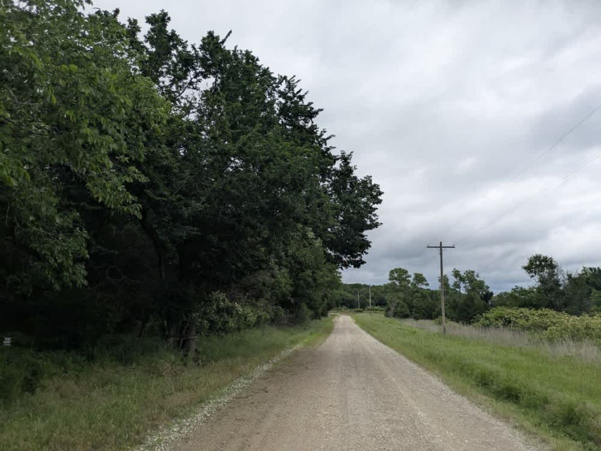 Road 8 photo 6