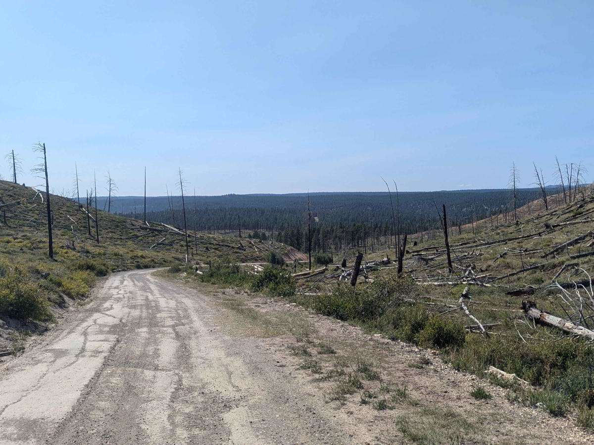 Stout Canyon Road photo 4