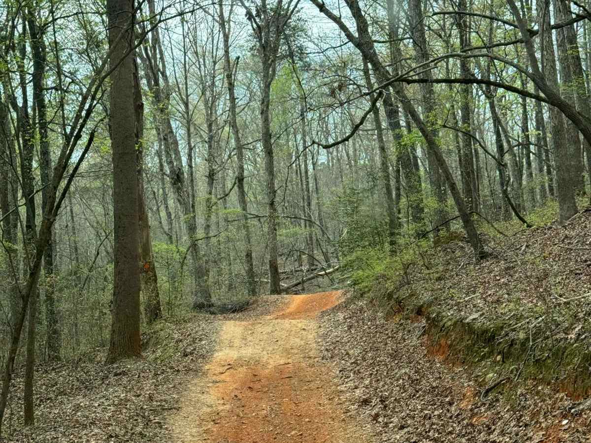 Falls Dam Trail 96 photo 2
