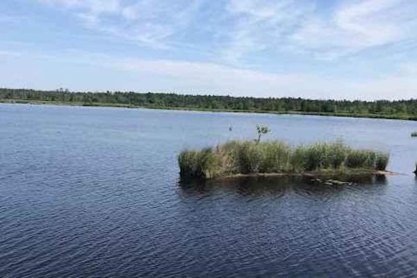 Whitesbog Village Trail