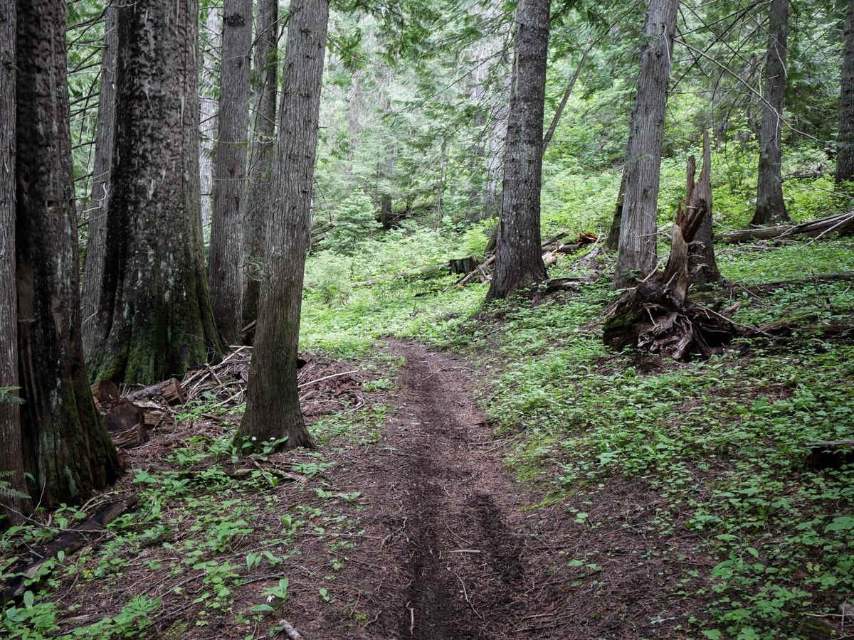 Flume Creek ATV photo 5