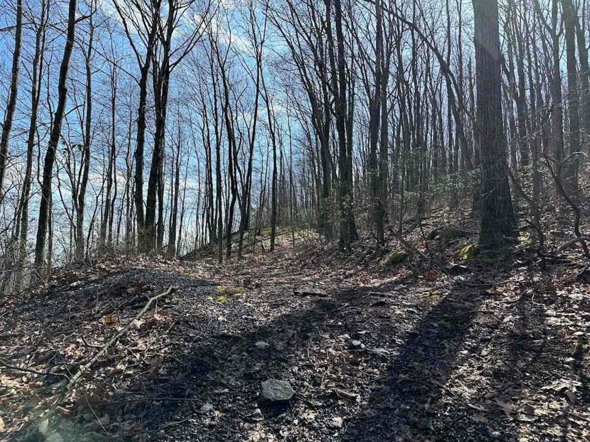 Ashland 191 photo 3