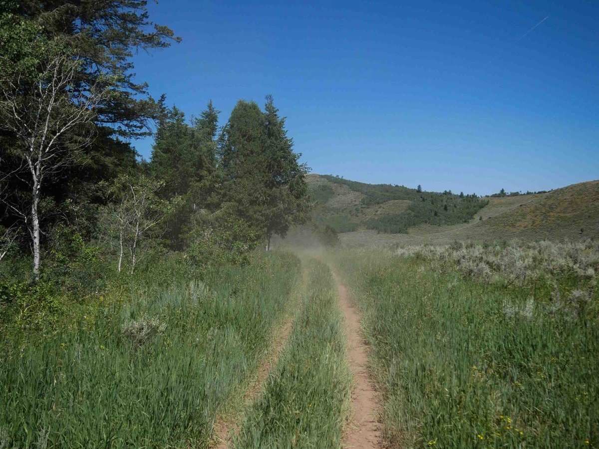 Trail Canyon #5254 photo 2