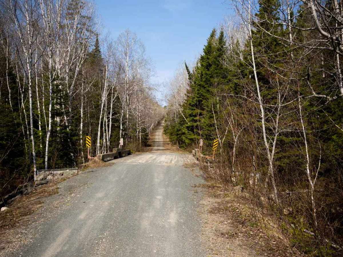 Roger Brook Trail (Part 1) photo 3