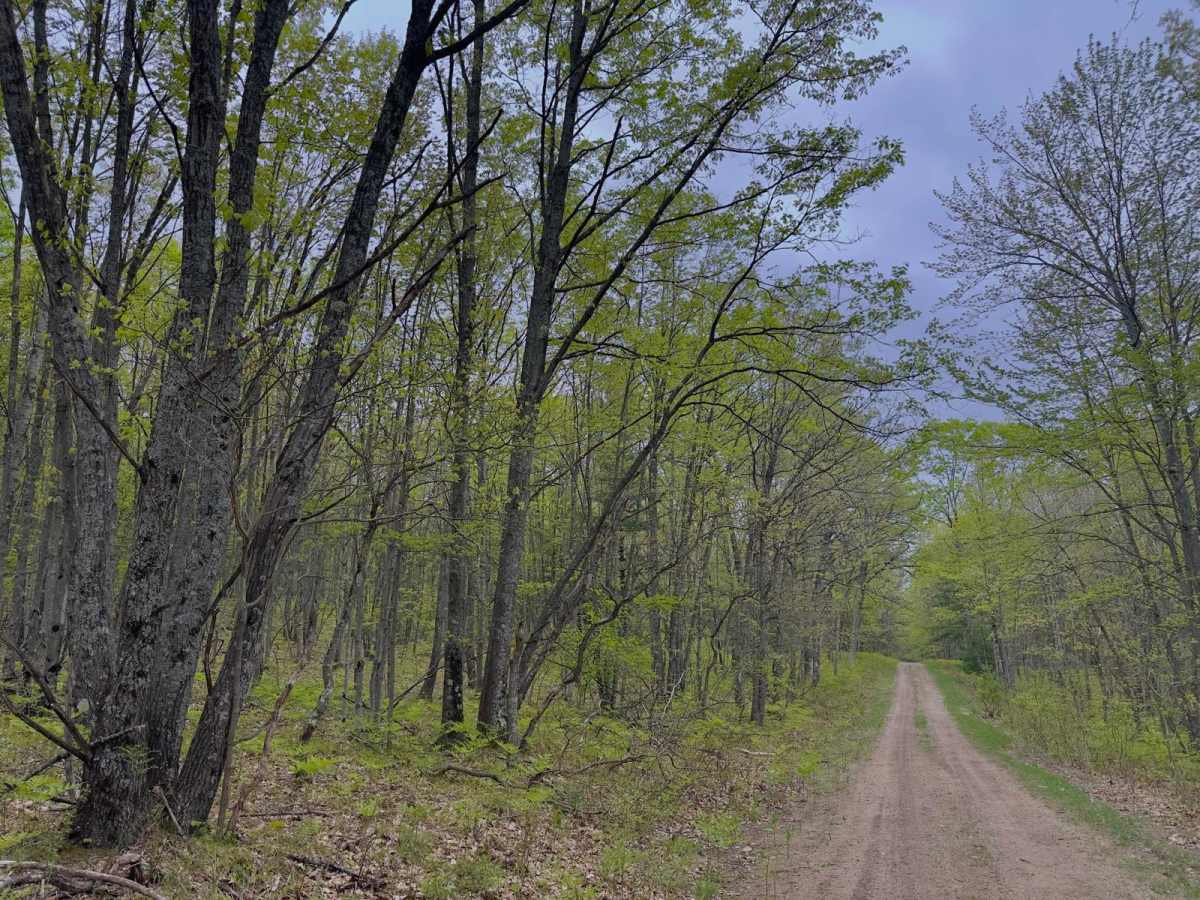 West Eden Mountain Road photo 6