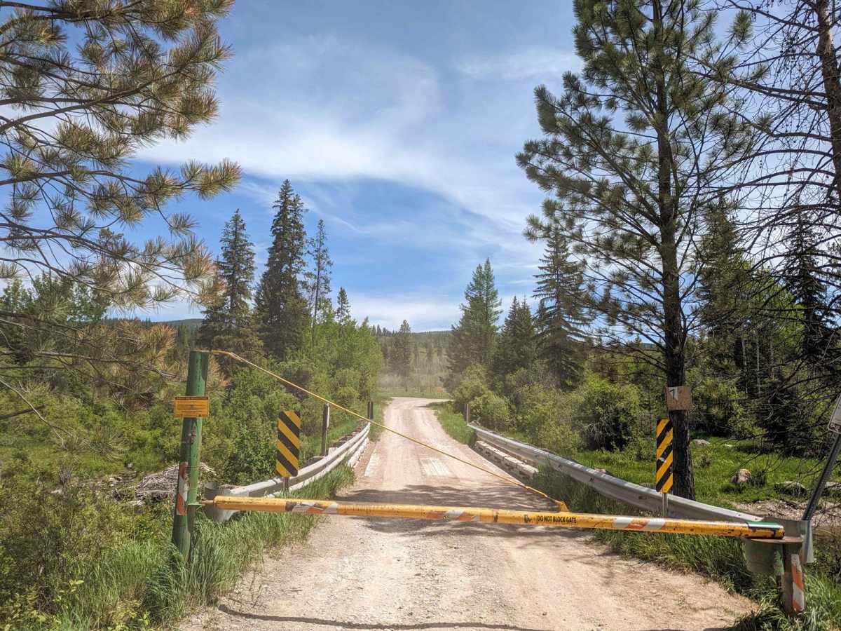 Gold Creek Trail 126 (Seasonal Access) photo 4