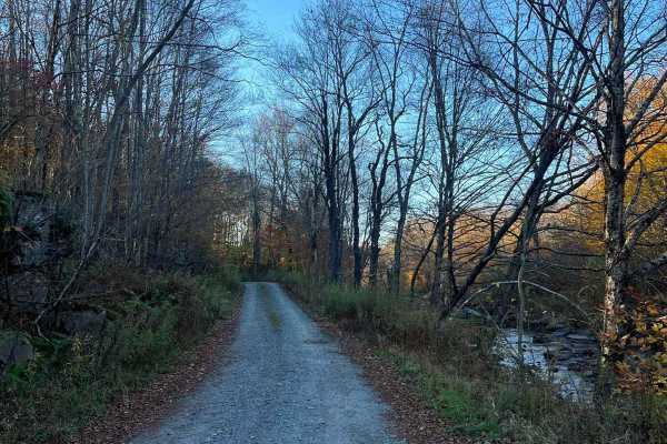 Plank Road
