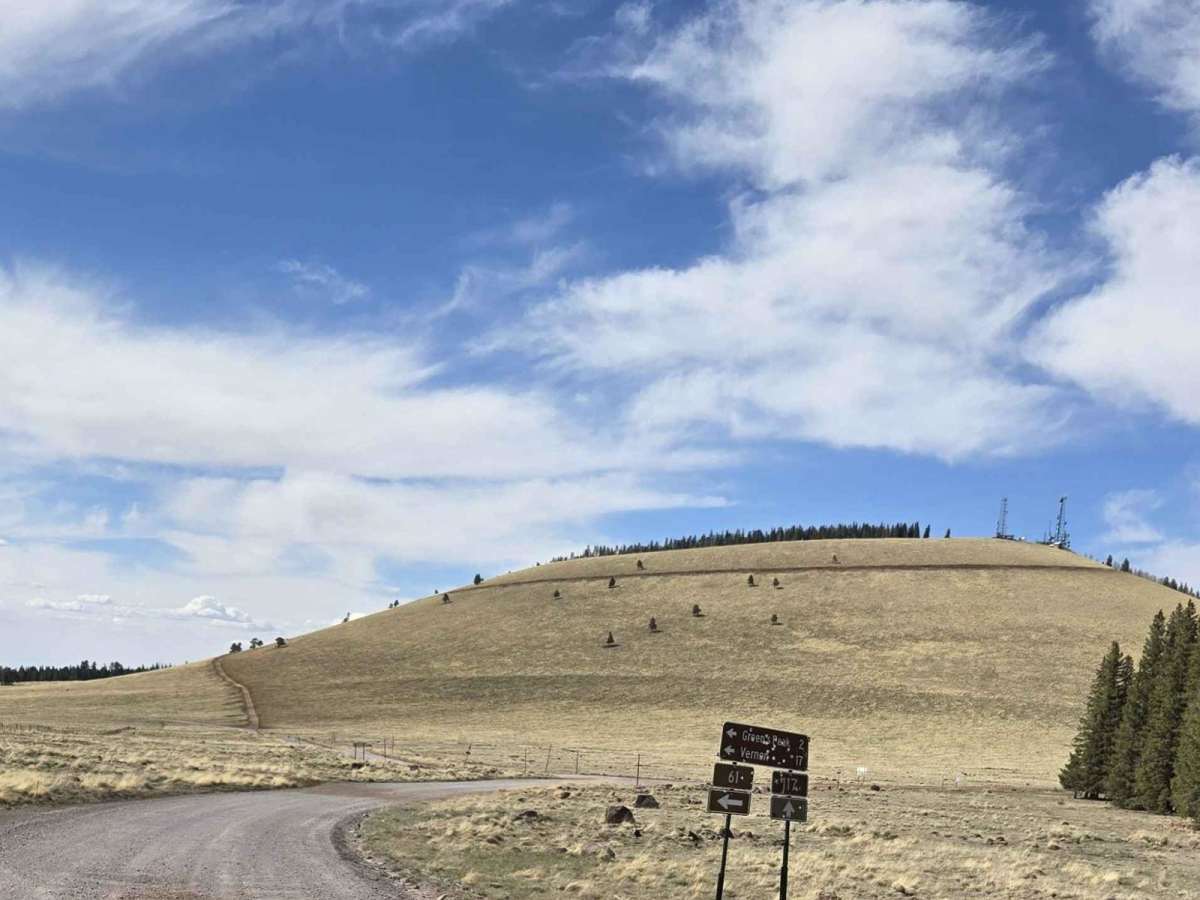 Forest Service Road 61/64F photo 2