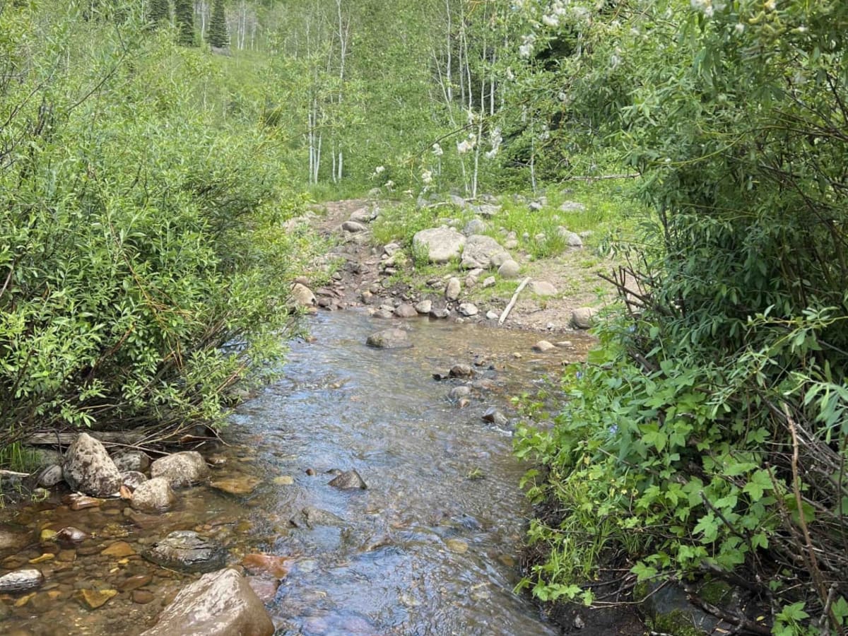 Little South Fork Trail photo 5