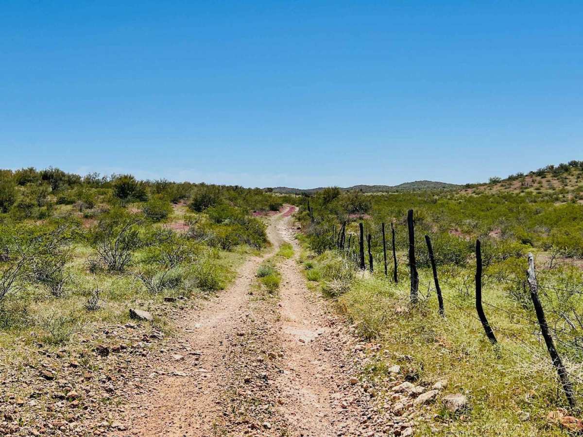 Fence Line Maintenance trail photo