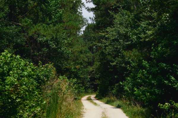 Kinsey Road - FSR 226